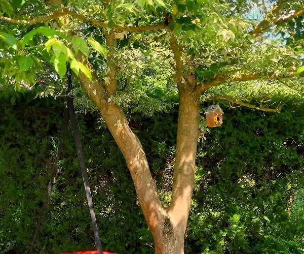 בית נופש Bajcsyhaz *