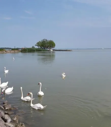 בית נופש Bajcsyhaz *